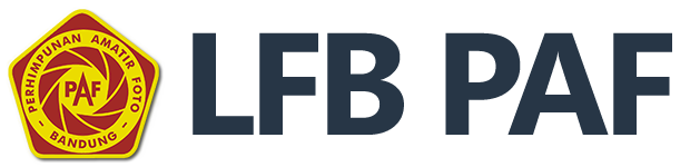 Logo LFB
